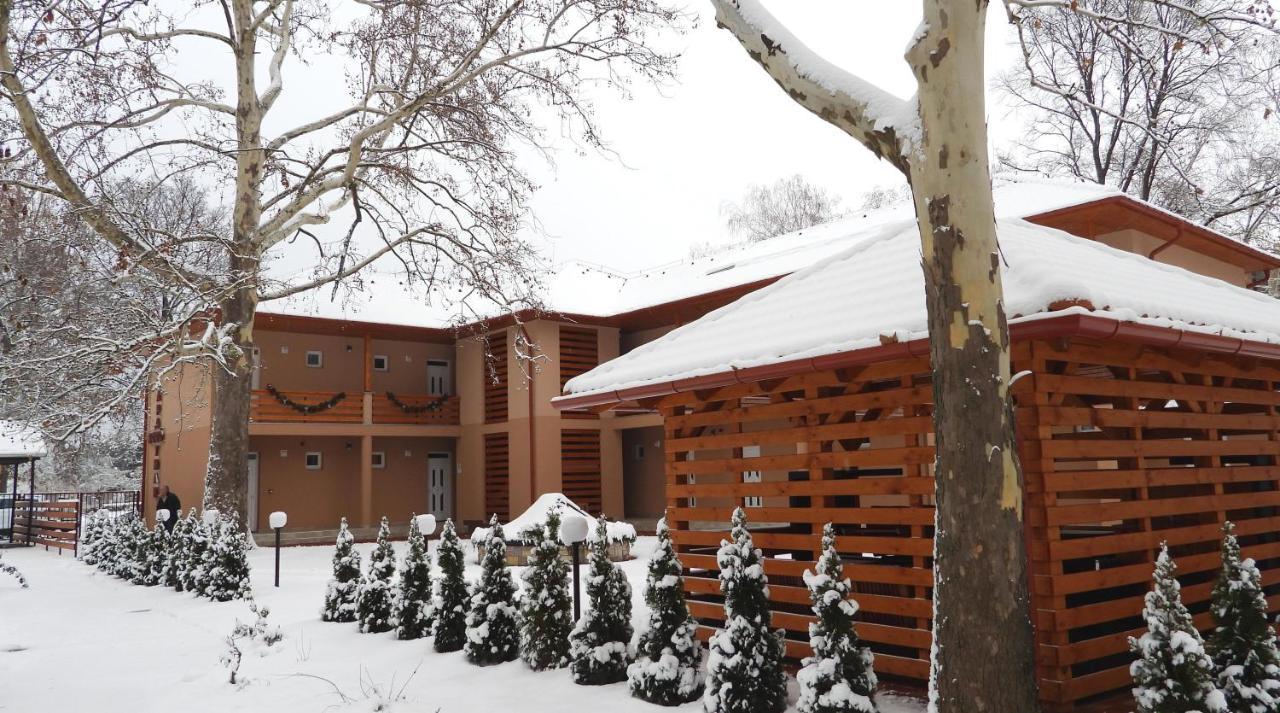Boro Apartman Тисафюред Экстерьер фото